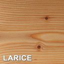 LARICE