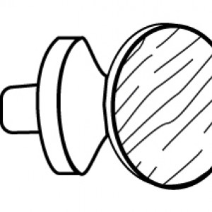 Pomoli
